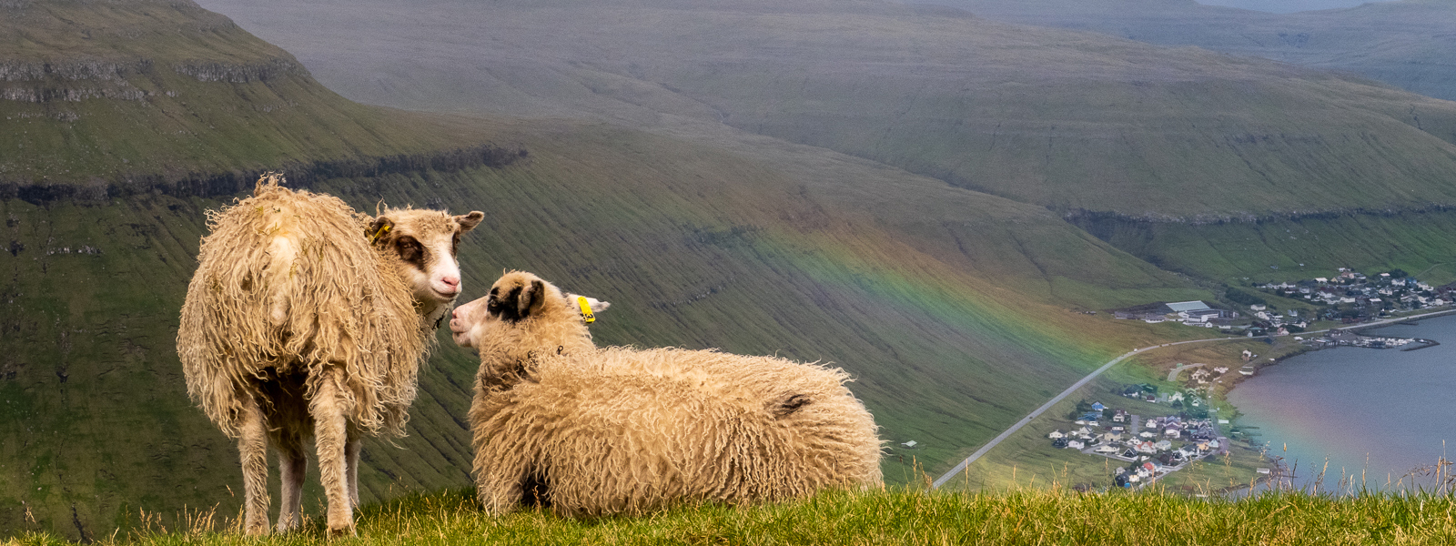 Over the Rainbow - Marion McMurdo